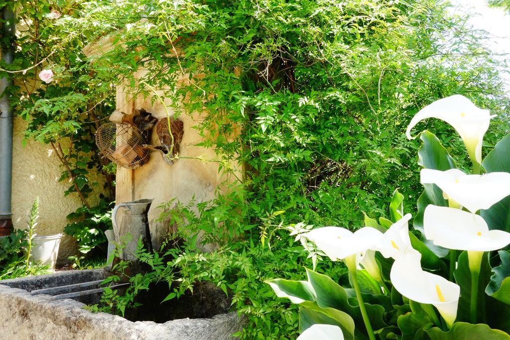 Le Petit Champ Buisson Quarto foto