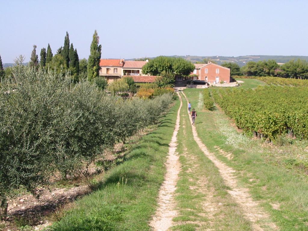 Le Petit Champ Buisson Quarto foto